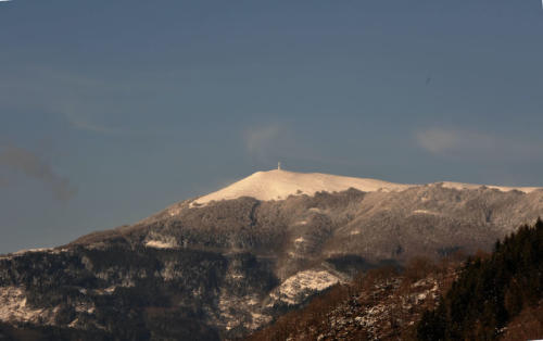 2019 ANCIOLINA LORO CIUFFENNA (1) (1)