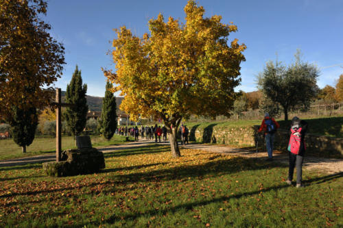 LA PIEVE DI GAVILLE