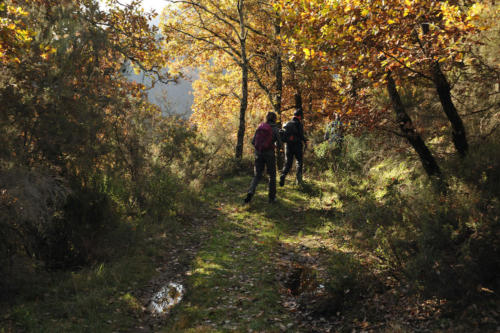 LA PIEVE DI GAVILLE