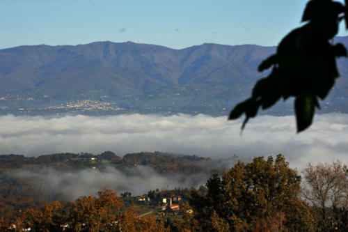 LA PIEVE DI GAVILLE