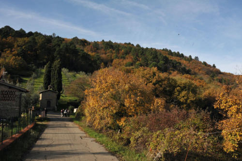 LA PIEVE DI GAVILLE