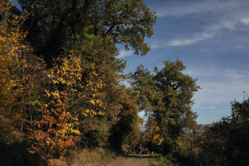 LA PIEVE DI GAVILLE