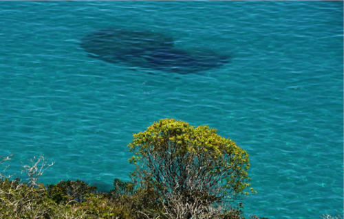 Punta Salinas