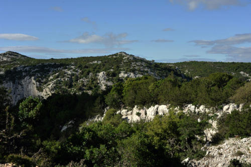 2018 SARDEGNA PEDRA LONGA (9)