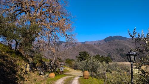 Pratomagno Da Casa Baldi