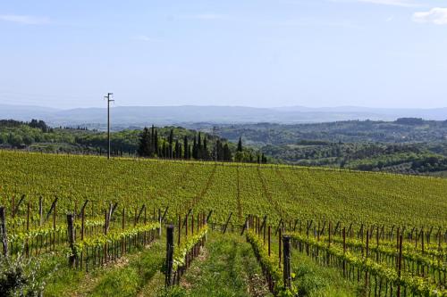 Sulle Strade Del Chianti