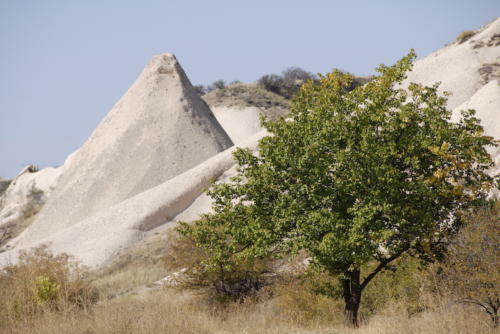 2008 Cappadocia (3)