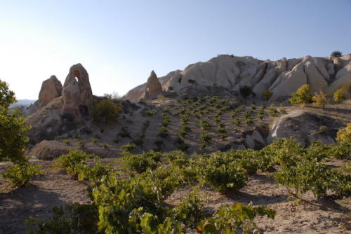 2008 Cappadocia (31)