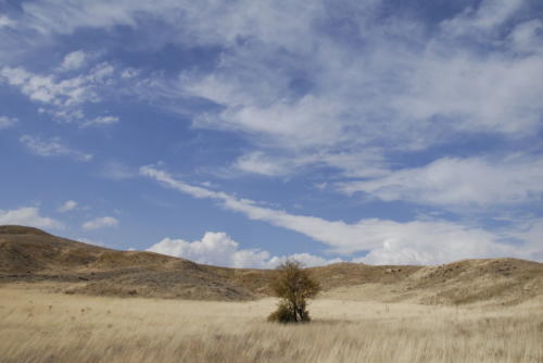 2008 Cappadocia (41)