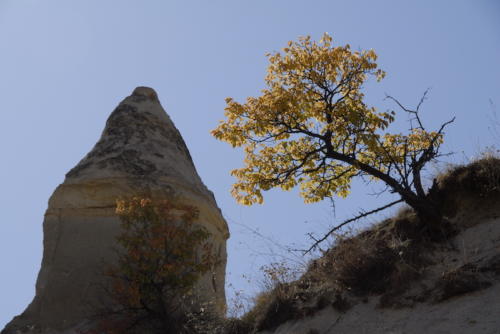 2008 Cappadocia (45)